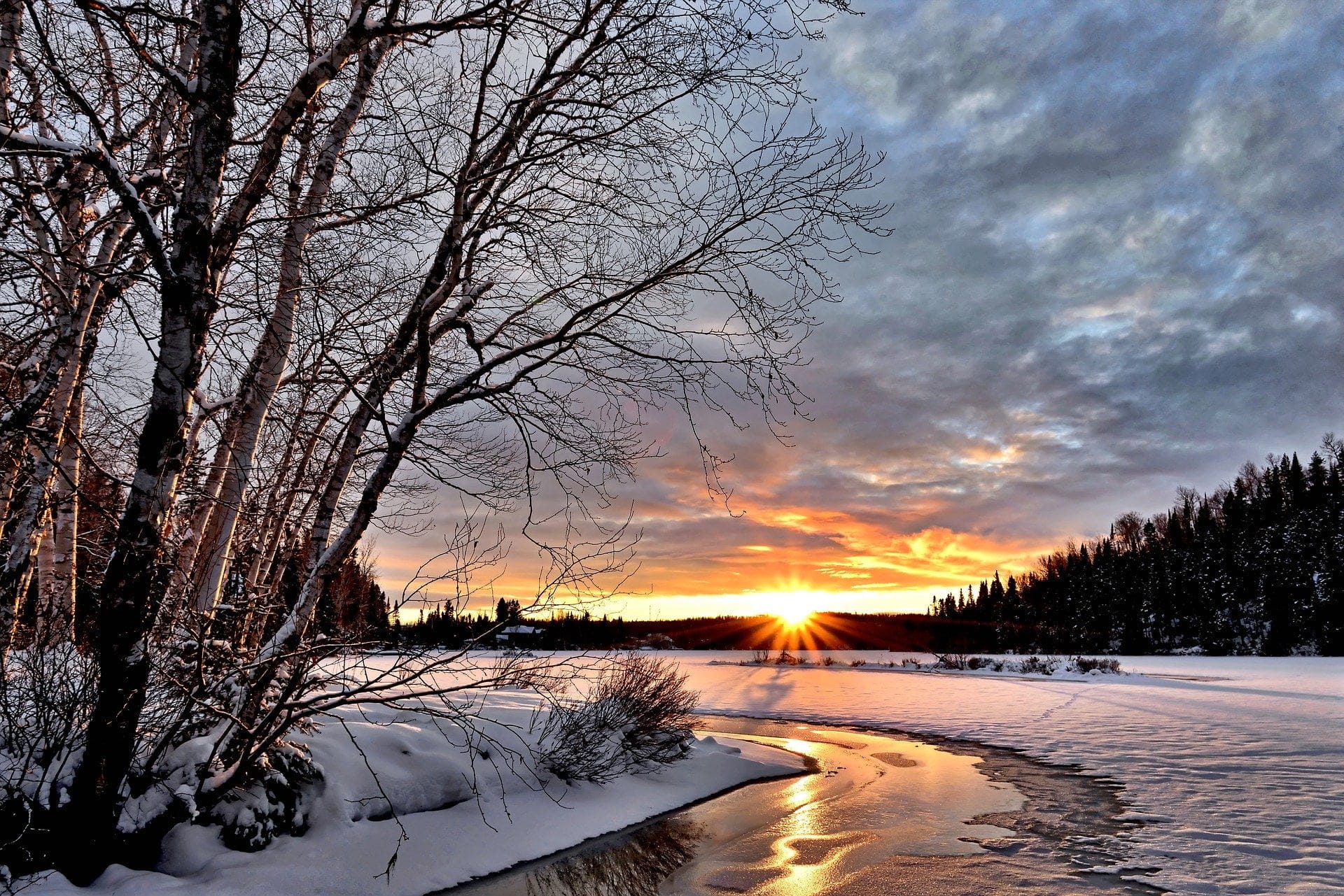 Quelles sont les différences entre l&rsquo;hibernation et l&rsquo;hivernation ?